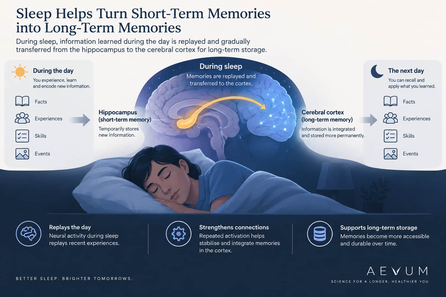 A simple illustration of information transferring from short-term to long-term memory during sleep