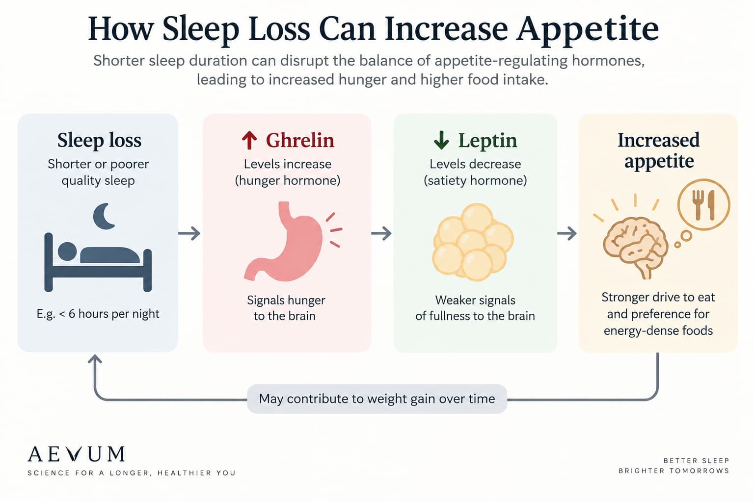 A diagram showing the hormonal pathway between sleep loss, ghrelin/leptin shifts, and increased appetite