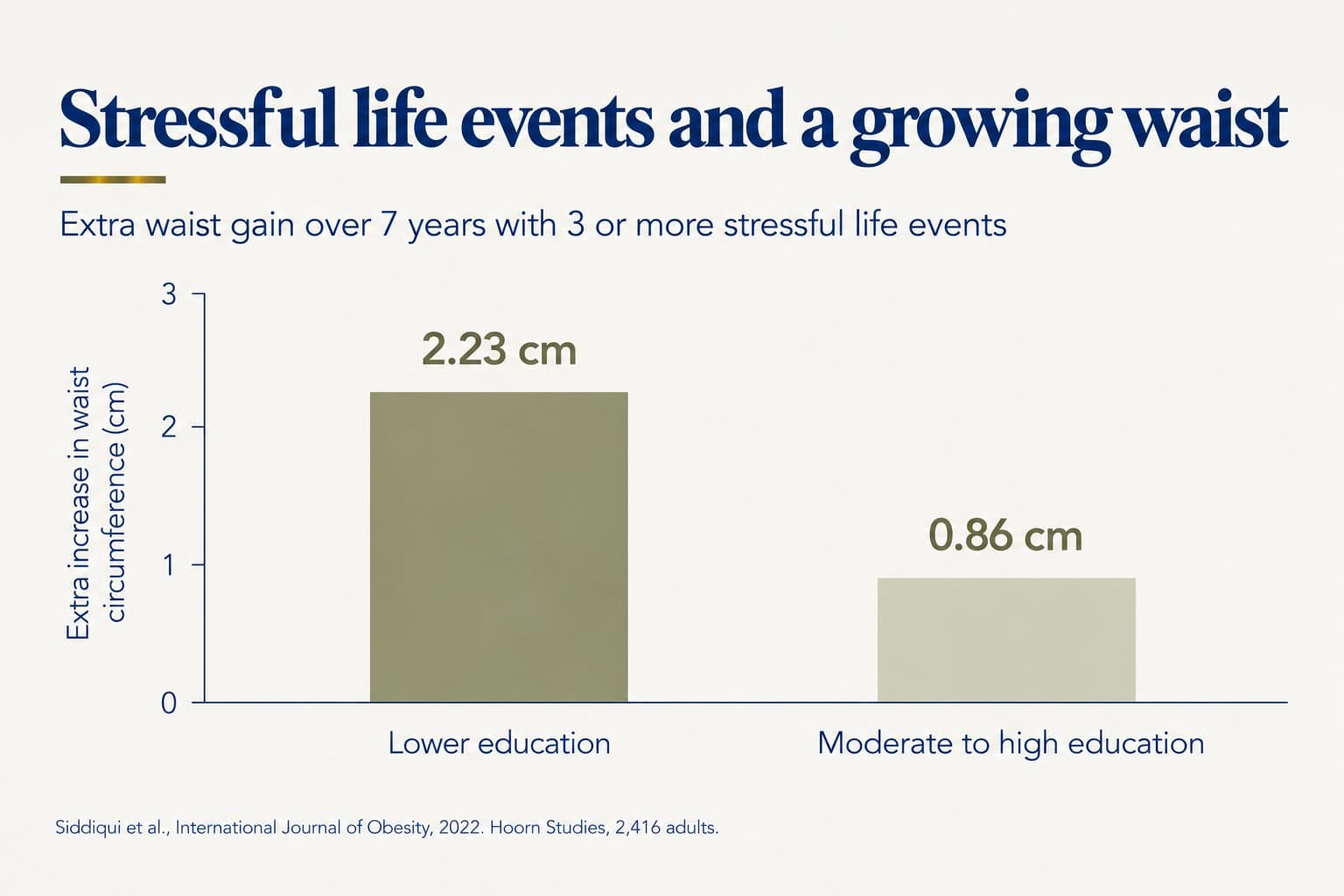 Bar chart of extra waist gain over 7 years with 3 or more stressful life events: 2.23 cm in people with lower education and 0.86 cm in those with moderate to high education (Siddiqui et al., International Journal of Obesity, 2022, Hoorn Studies, 2,416 adults)