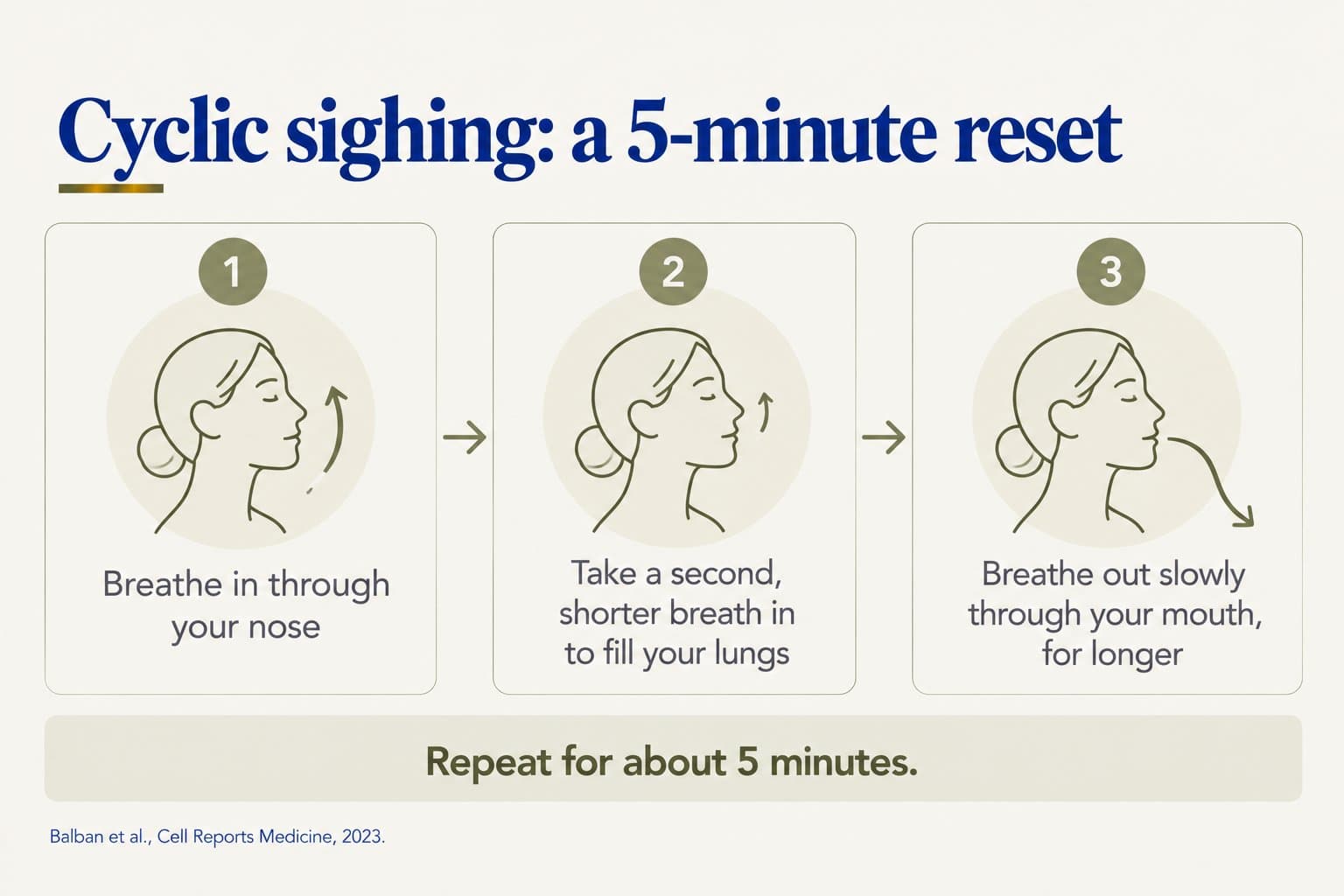Step-by-step guide to cyclic sighing, a 5-minute reset: 1, breathe in through your nose; 2, take a second, shorter breath in to fill your lungs; 3, breathe out slowly through your mouth, for longer. Repeat for about 5 minutes (Balban et al., Cell Reports Medicine, 2023)