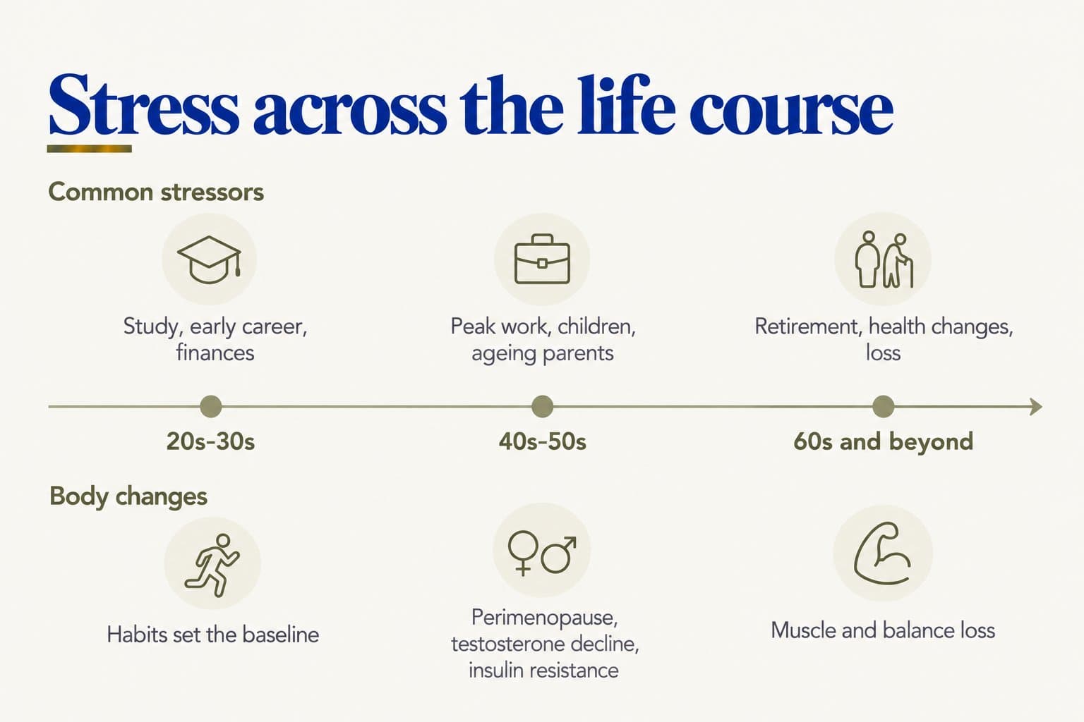 Life-course diagram, stress across the life course. Common stressors: study, early career and finances in the 20s-30s; peak work, children and ageing parents in the 40s-50s; retirement, health changes and loss from the 60s. Body changes: habits set the baseline; perimenopause, testosterone decline and insulin resistance; muscle and balance loss
