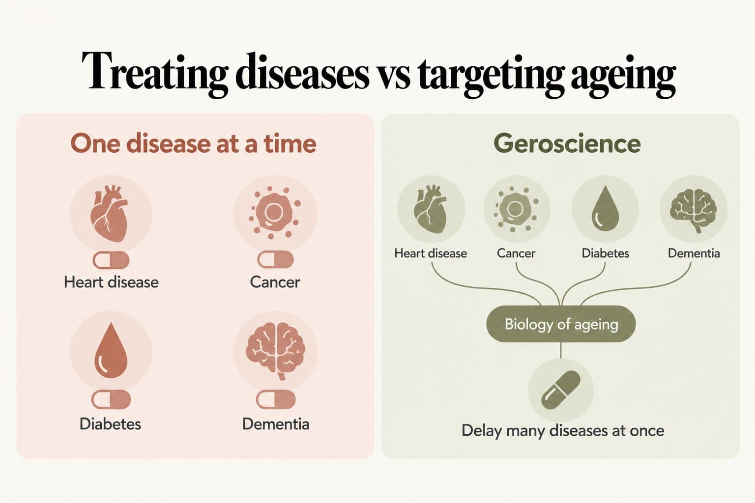 Comparison diagram, treating diseases vs targeting ageing: one disease at a time, with a separate pill each for heart disease, cancer, diabetes and dementia, versus geroscience, where all four connect to the biology of ageing and a single treatment aims to delay many diseases at once