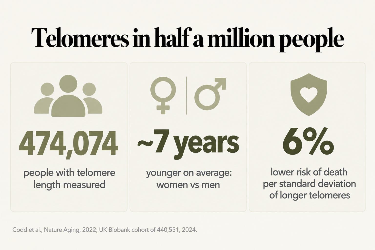 Stat tiles, telomeres in half a million people: 474,074 people with telomere length measured, women about 7 years younger than men on average, and a 6% lower risk of death per standard deviation of longer telomeres (Codd et al., Nature Aging, 2022; UK Biobank cohort of 440,551, 2024)