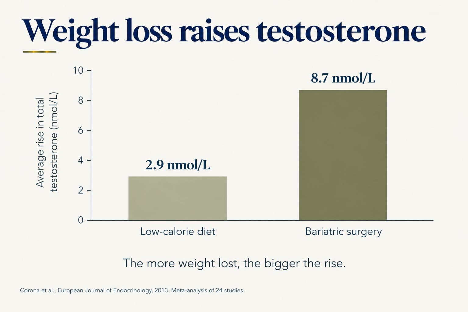 Bar chart of the average rise in total testosterone after weight loss: 2.9 nmol/L with a low-calorie diet and 8.7 nmol/L after bariatric surgery; the more weight lost, the bigger the rise (Corona et al., European Journal of Endocrinology, 2013, meta-analysis of 24 studies)