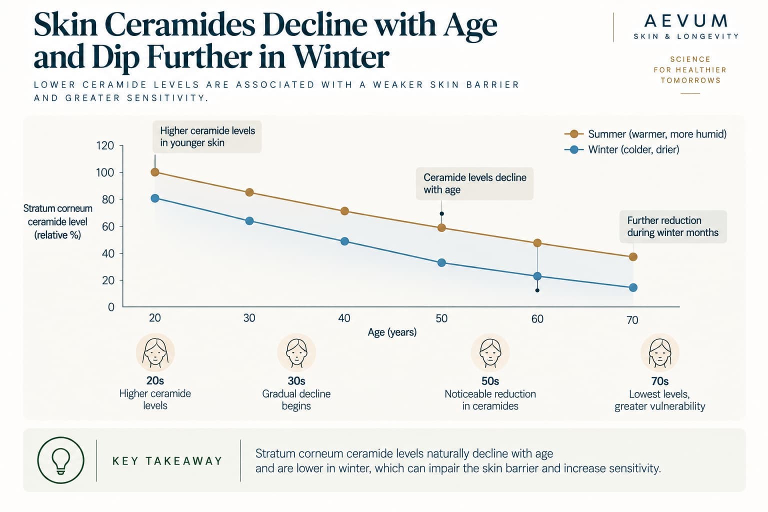 A chart showing stratum corneum ceramide levels declining with age and dipping further during winter months