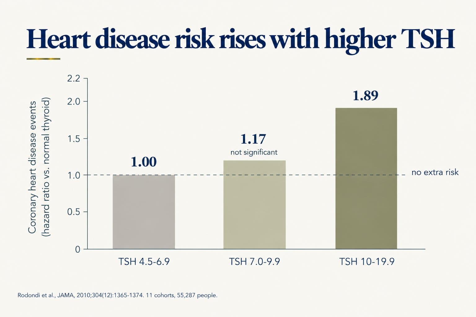 Bar chart of coronary heart disease event risk in subclinical hypothyroidism by TSH level: hazard ratio 1.00 at TSH 4.5-6.9, 1.17 (not significant) at 7.0-9.9, and 1.89 at 10-19.9, compared with normal thyroid function (Rodondi et al., JAMA, 2010, 11 cohorts, 55,287 people)
