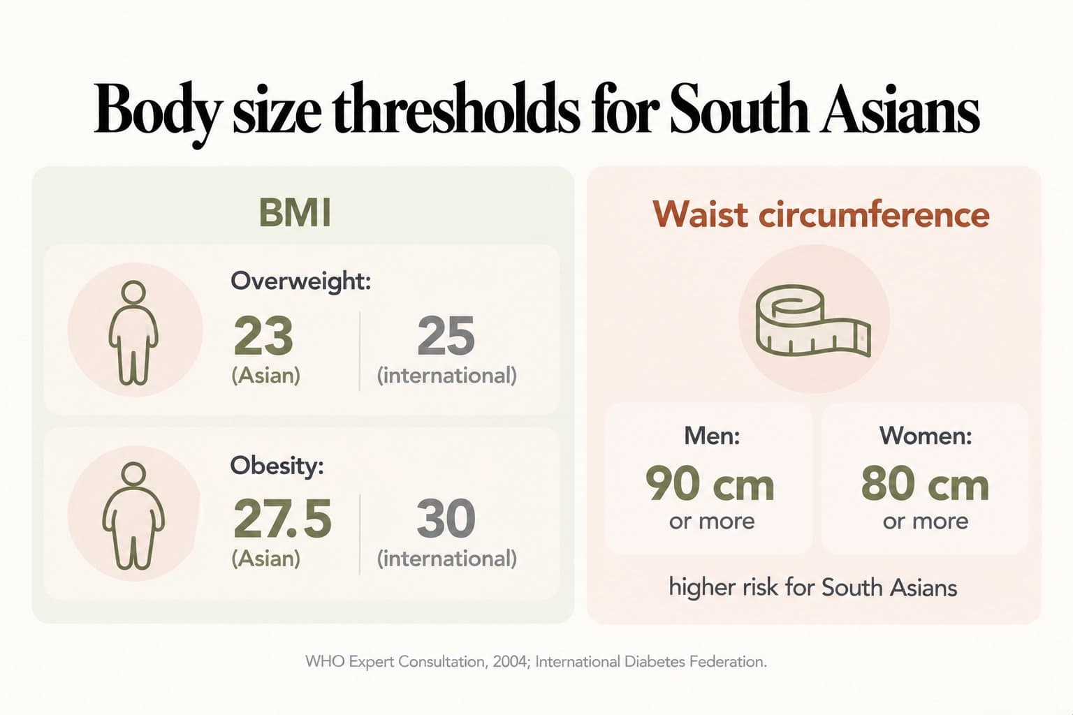 Comparison, body size thresholds for South Asians: BMI overweight from 23 (Asian) vs 25 (international) and obesity from 27.5 vs 30; waist circumference of 90 cm or more in men and 80 cm or more in women signals higher risk (WHO Expert Consultation, 2004; International Diabetes Federation)