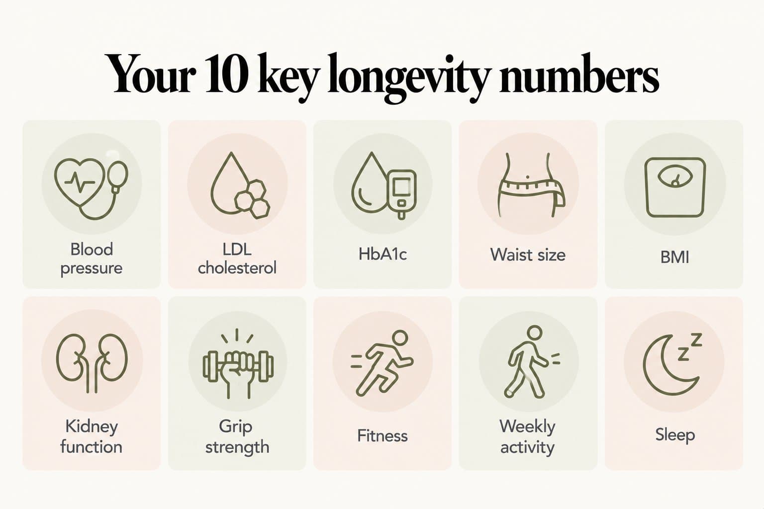 Dashboard, your 10 key longevity numbers: blood pressure, LDL cholesterol, HbA1c, waist size, BMI, kidney function, grip strength, fitness, weekly activity and sleep
