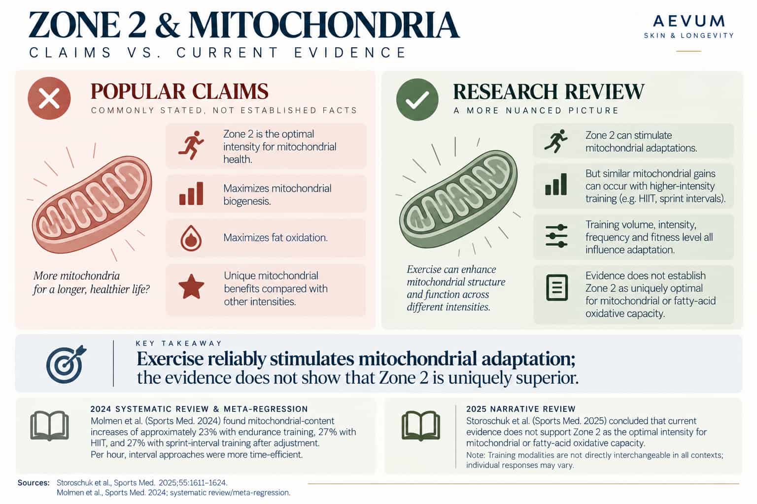 Side-by-side comparison of popularized Zone 2 mitochondrial claims against the more cautious research-review findings