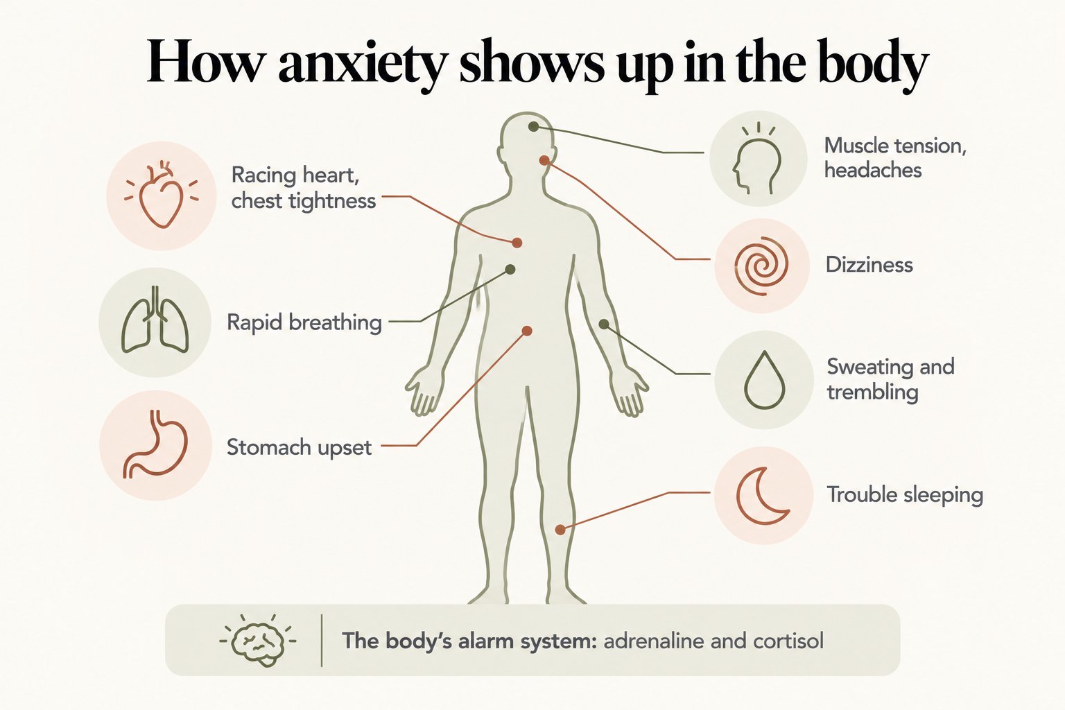 How anxiety shows up in the body: racing heart, rapid breathing, stomach upset, muscle tension, dizziness, sweating and trouble sleeping