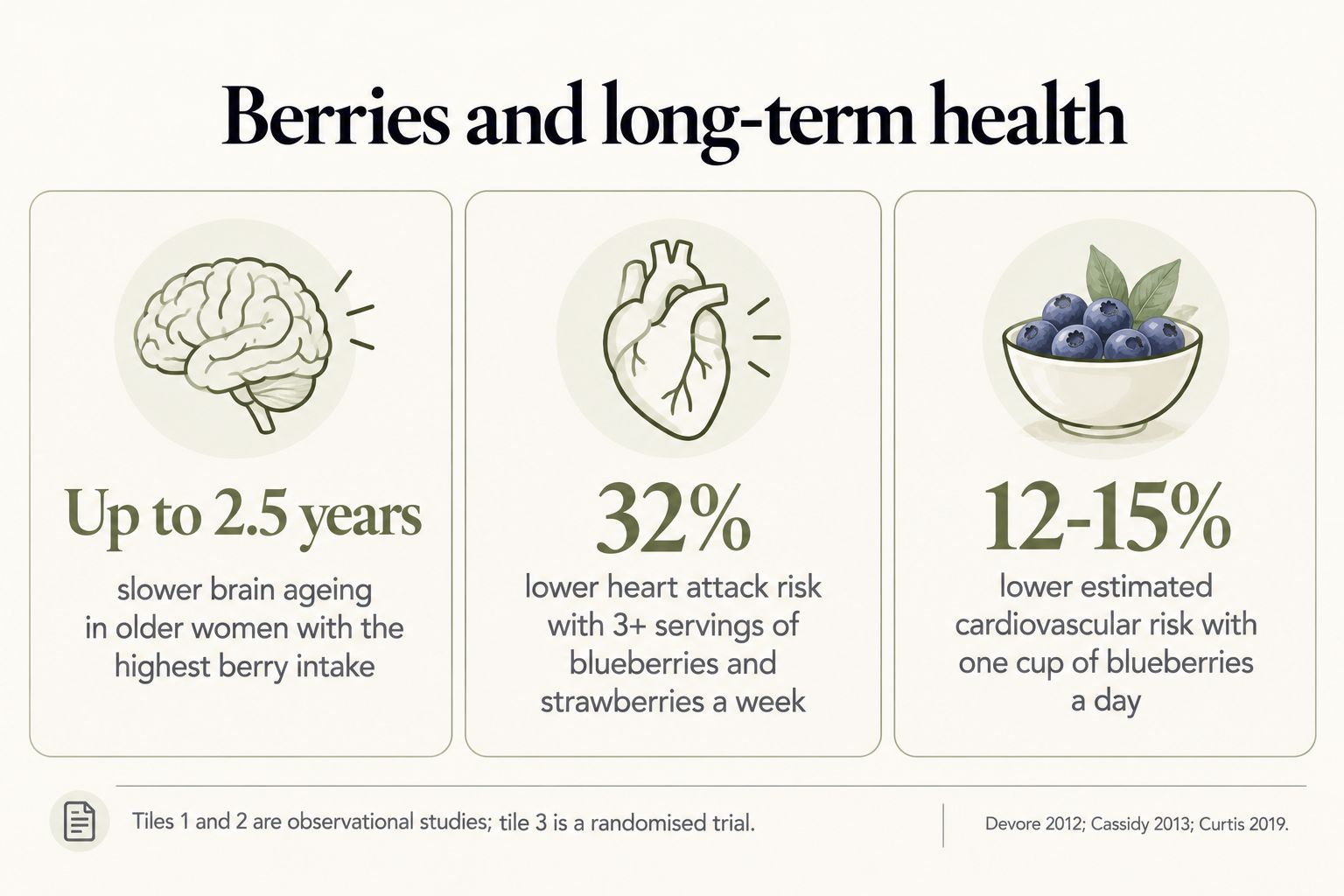 Berries and long-term health: up to 2.5 years slower brain ageing, 32% lower heart attack risk with 3+ servings a week, and 12-15% lower estimated cardiovascular risk with a cup of blueberries a day