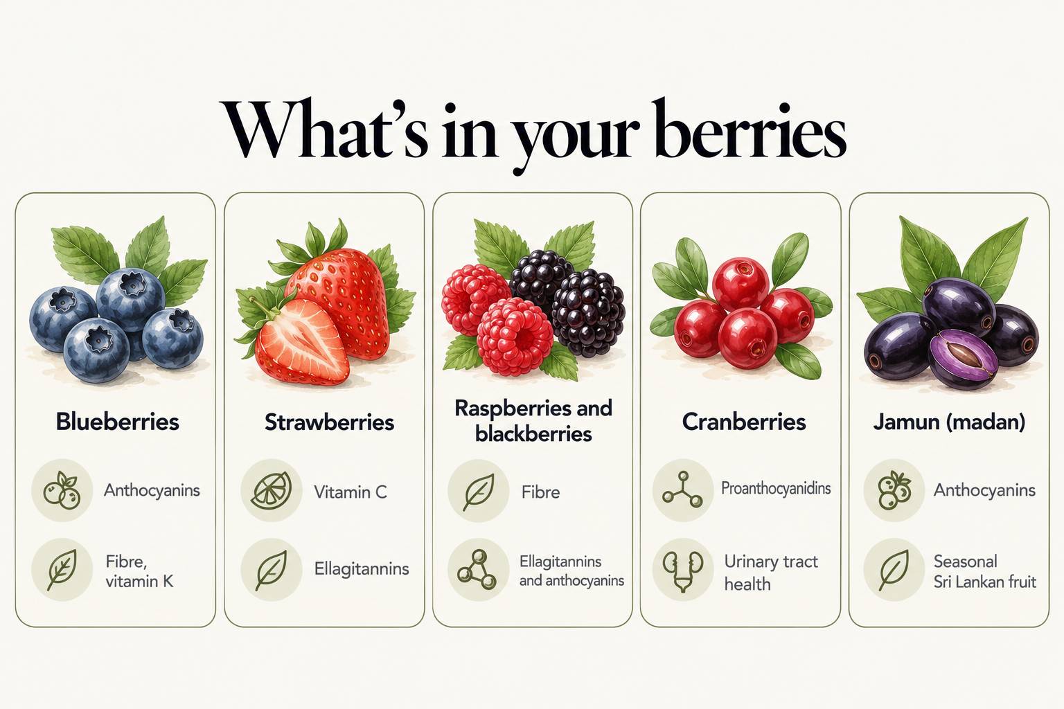 What's in your berries: blueberries, strawberries, raspberries and blackberries, cranberries and jamun (madan), with their key compounds