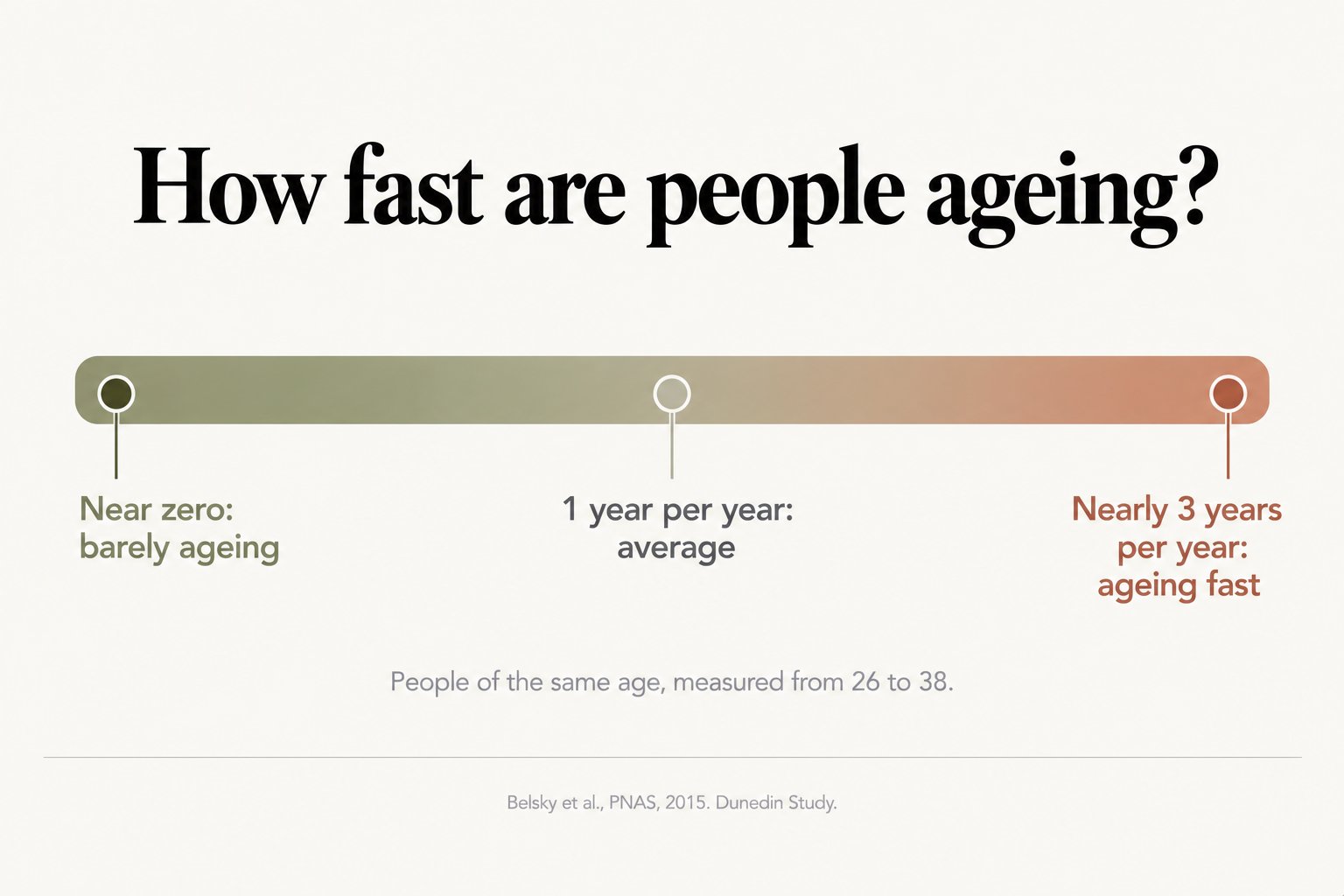 Scale, how fast are people ageing? From near zero (barely ageing) through 1 year per year (average) to nearly 3 years per year (ageing fast), in people of the same age measured from 26 to 38 (Belsky et al., PNAS, 2015, Dunedin Study)