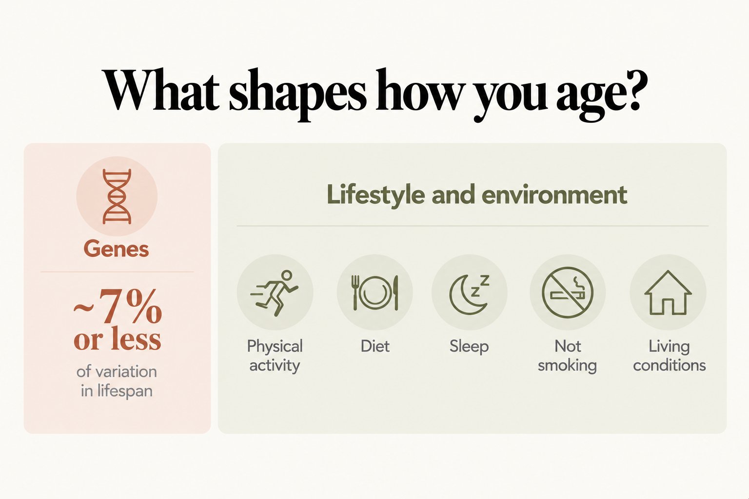 Comparison, what shapes how you age? Genes explain about 7% or less of variation in lifespan, while lifestyle and environment, including physical activity, diet, sleep, not smoking and living conditions, shape much more