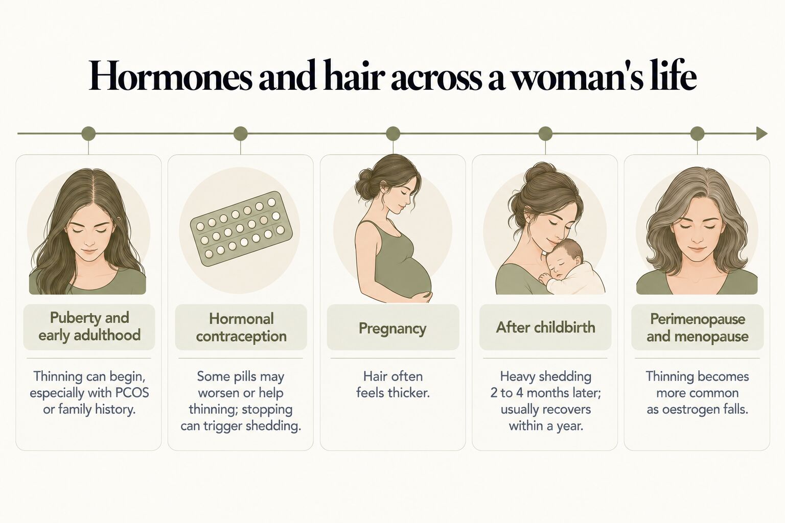Hormones and hair across a woman's life: thinning can begin in puberty and early adulthood, especially with PCOS or family history; some contraceptive pills may worsen or help thinning and stopping can trigger shedding; hair often feels thicker in pregnancy; heavy shedding 2 to 4 months after childbirth usually recovers within a year; thinning becomes more common as oestrogen falls in perimenopause and menopause