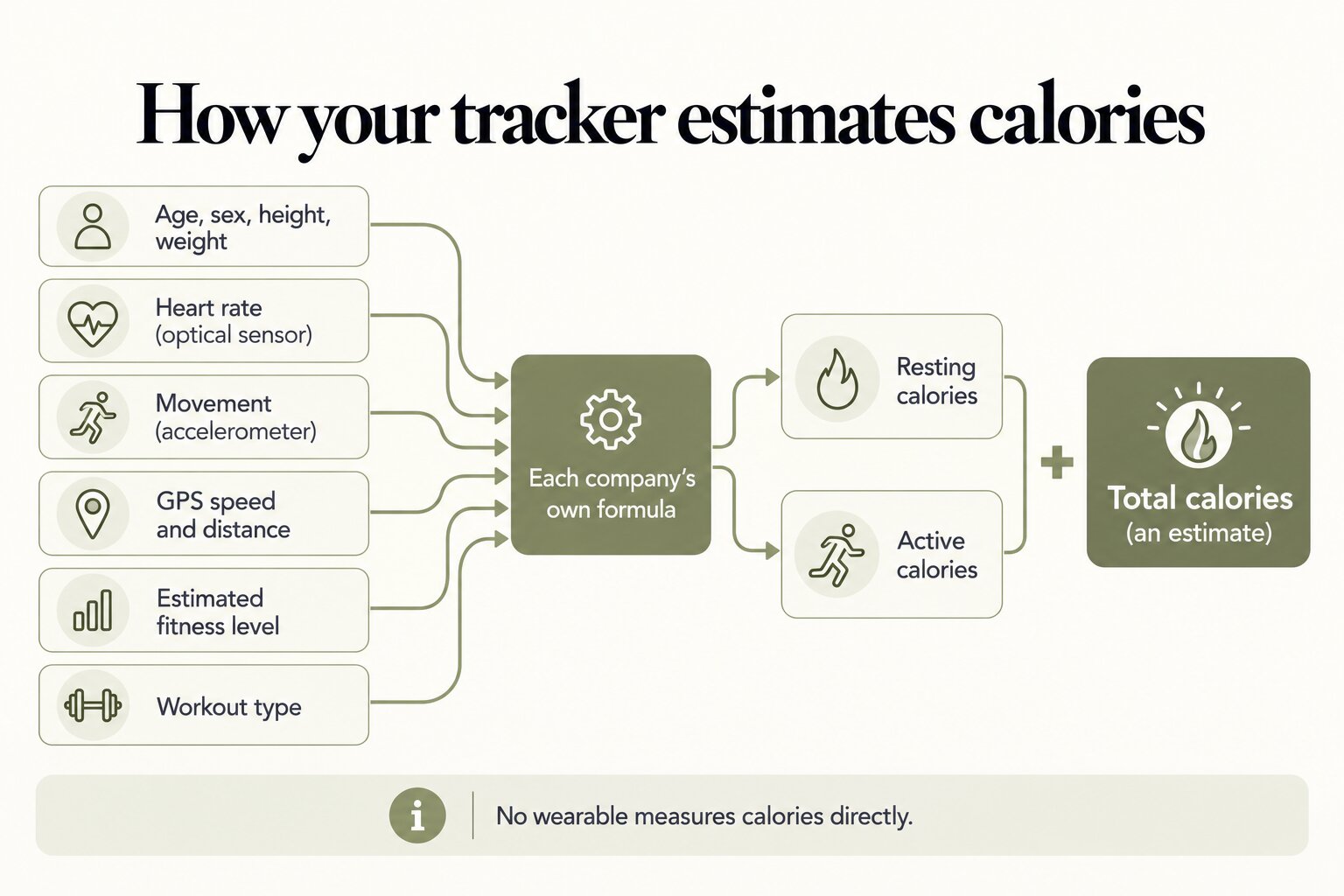 How your tracker estimates calories: age, sex, height and weight, optical heart rate, accelerometer movement, GPS speed and distance, estimated fitness level and workout type feed into each company's own formula, which produces resting plus active calories for an estimated total. No wearable measures calories directly