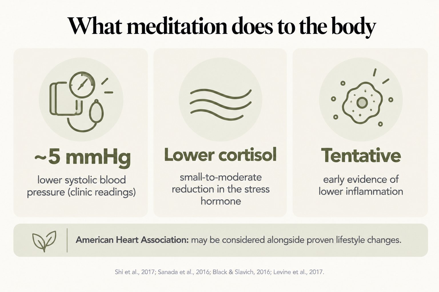 What meditation does to the body: about 5 mmHg lower systolic blood pressure, lower cortisol and tentative evidence of lower inflammation