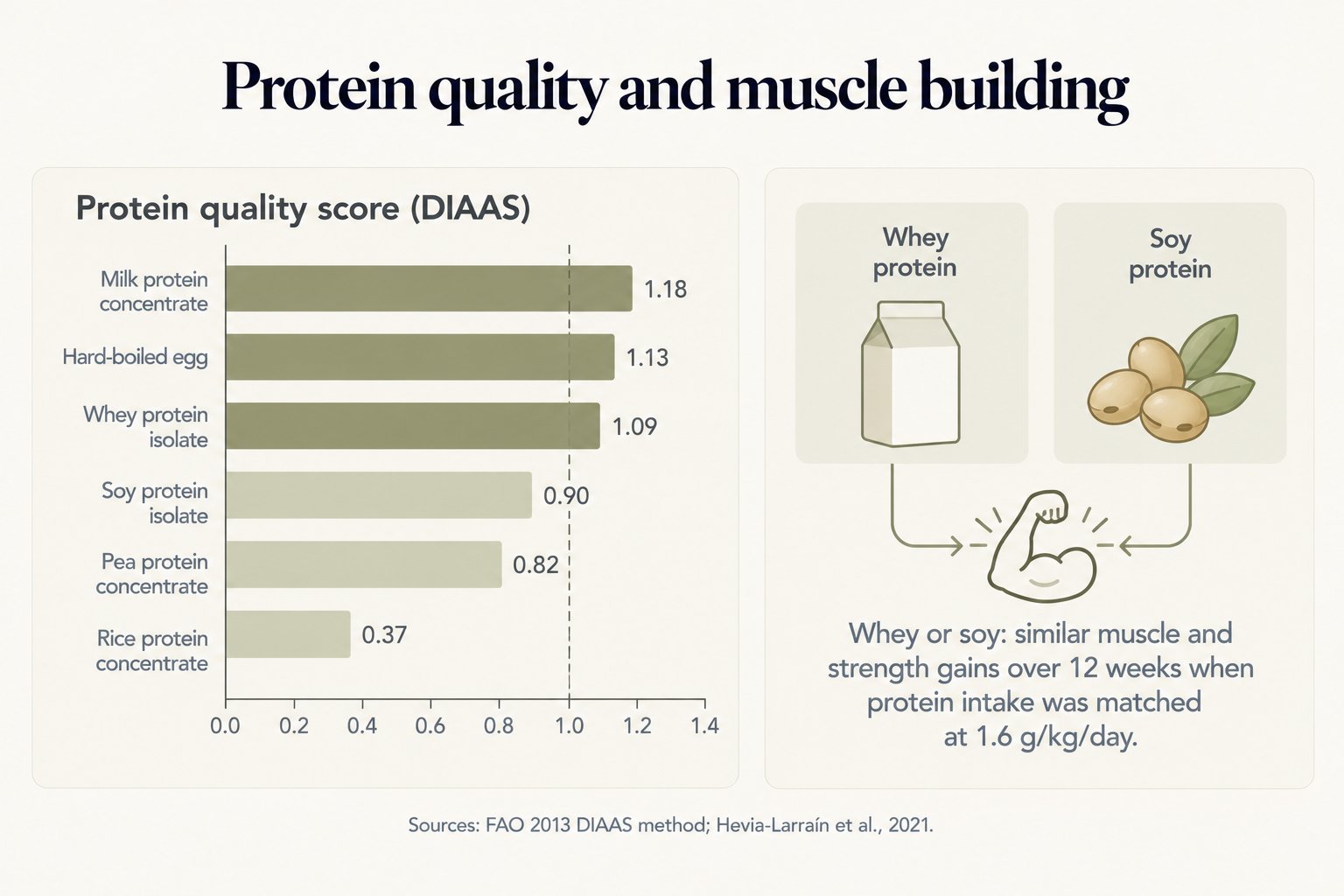 Protein quality and muscle building: DIAAS protein quality scores of milk protein concentrate 1.18, hard-boiled egg 1.13, whey protein isolate 1.09, soy protein isolate 0.90, pea protein concentrate 0.82 and rice protein concentrate 0.37; whey or soy produced similar muscle and strength gains over 12 weeks when protein intake was matched at 1.6 g/kg/day