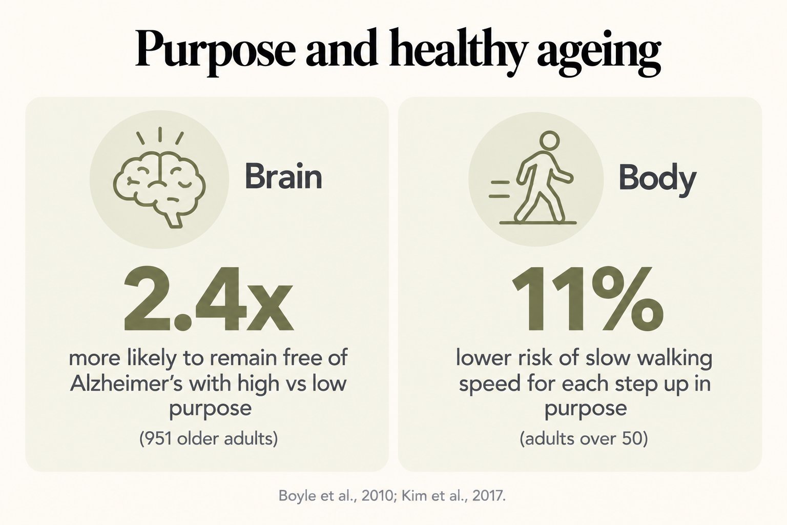 Two panels, purpose and healthy ageing: brain, 2.4 times more likely to remain free of Alzheimer's with high vs low purpose (951 older adults); body, 11% lower risk of slow walking speed for each step up in purpose (adults over 50) (Boyle et al., 2010; Kim et al., 2017)