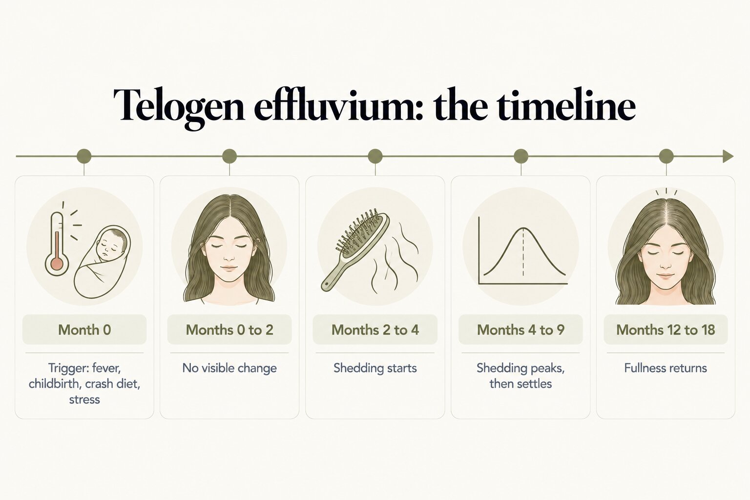 Telogen effluvium timeline: a trigger such as fever, childbirth, a crash diet or stress at month 0; no visible change for the first 2 months; shedding starts at months 2 to 4; shedding peaks then settles over months 4 to 9; fullness returns at months 12 to 18