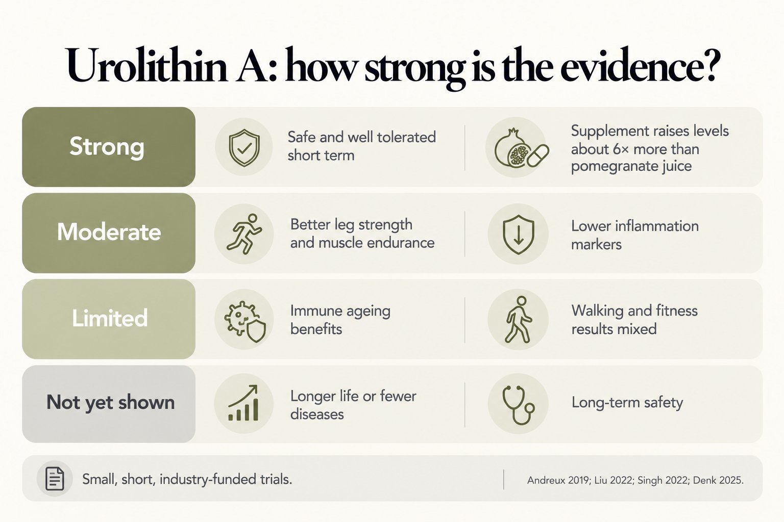 Urolithin A evidence scorecard: strong for short-term safety and blood levels; moderate for leg strength, endurance and inflammation; limited for immune ageing and walking; longer life and long-term safety not yet shown